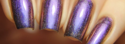 Невероятная коллекция хамелеонов El Corazon