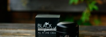 Улиточная история