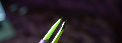 How to: Brow! Как я оформляю брови от выщипывания до фиксации