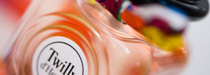 Шарм и очарование с Twilly d’Hermes