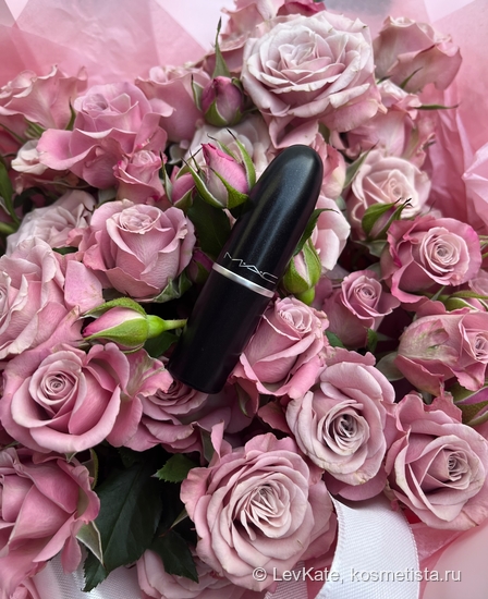 Помада, которая украла мое сердце: MAC Matte Lipstick в оттенке 608 Mehr