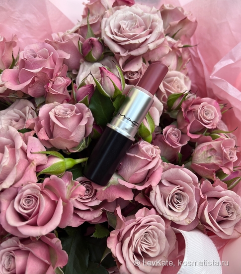 Помада, которая украла мое сердце: MAC Matte Lipstick в оттенке 608 Mehr