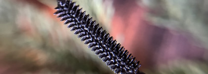 Тушь с эффектом накладных ресниц Sergey Naumov Suprematic False Lashes Mascara в оттенке Ultra Black