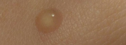 Scinic Peptide Ampoule 95