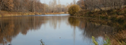 Любимый осенний аромат So Elixir Eau de Toilette Yves Rocher