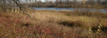 Любимый осенний аромат So Elixir Eau de Toilette Yves Rocher