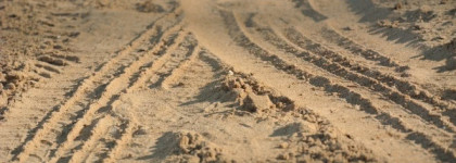 Дом солнца. Shiseido Zen edp