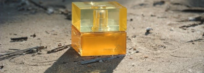 Дом солнца. Shiseido Zen edp