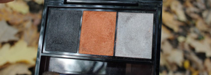 Shiseido Luminizing Satin Eye Color Trio №OR302 Fire