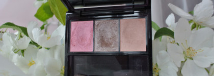 Shiseido Luminizing Satin Eye Color Trio RD 711 Pink Sands