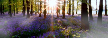 По настоящему весенний Chanel Chance Eau Fraiche, edt