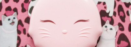 Не косметичка, а кошкин дом! "Кошачья" серия Tony Moly Cats Wink