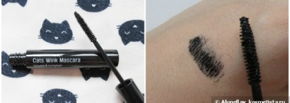 Не косметичка, а кошкин дом! "Кошачья" серия Tony Moly Cats Wink