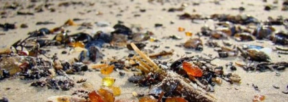 Hermes Eau des Merveilles, Edt