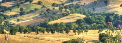 Maremma Tiziana Terenzi, edp vs Tom Ford Black Orchid, edp