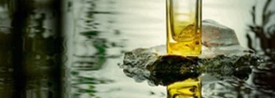 Пополнение в семье Hermes,  Le Jardin de Monsieur Li, или вдохновенные китайские сады