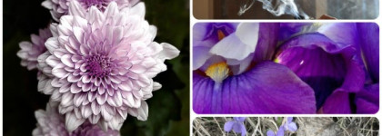 ''Песнь восхождения". Serge Lutens De Profundis, edp