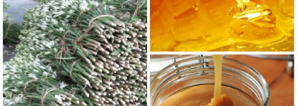 "Ветер перемен". Boadicea the Victorious Ignite, edp