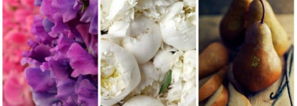 Issey Miyake, Pleats Please,  edt