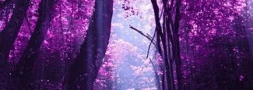 Безмятежность. Serge Lutens, Feminite du Bois, edp