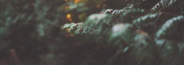 Atelier Cologne Cedre Atlas, Cologne Absolue