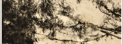 Serge Lutens, Un bois sepia, eau de parfum