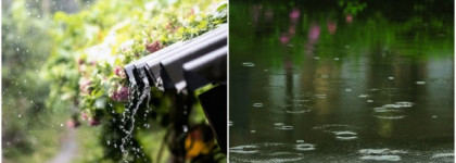 Chanel No 19 Poudre, eau de parfum