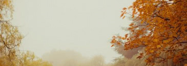 Amouage Interlude, edp