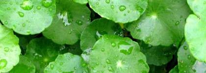 Вдохновившие меня Onmacabim st cells lacto nourishing mask и Onmacabim st cellc lacto peeling gommage