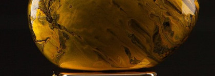 Ароматы-клоны или лавры, не дающие покоя