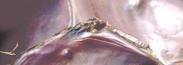 Пудровые ароматы. Уютные. Часть 2