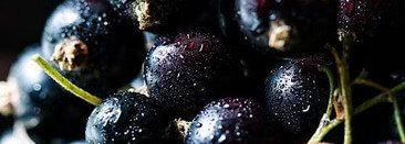 Фруктовые десерты