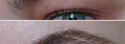 Glossier Boy Brow & Brow Flick