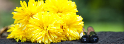 NYX Lingerie - отличная альтернатива Вельветинам от Lime Crime по демократичной цене (Corset 09 и Teddy 10)