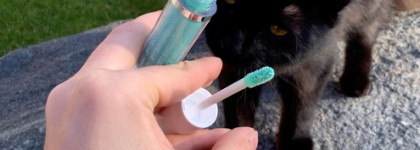 Cокровищница Beauty Bay: или когда розовый вдохновляет на Barbie Style