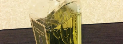 Мой уютный зимний вечер с L'occitane en Provence
