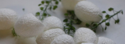 Превращаемся в прекрасную бабочку вместе с Nature Republic Hair&Bath Nature's Deco Coccon Silk Ball