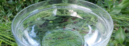 Пятничный релакс от AlpStories