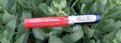 Клубничное настроение с блеском от Lumene Wild Rose Creme Lip Gloss Winter Talvi