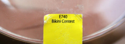 Бронзер Wet n Wild Color Icon Collection Bronzer SPF 15 Avec FPS - дарю вам лучик солнца вместе с оттенком E740 - Bikini Contest