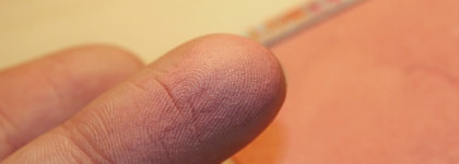 The Balm FratBoy shadow/blush