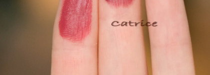 Шок от марки Catrice: матовая помада-карандаш Matt Lip Artist 070 First bRown Ticket