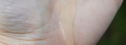 Шампунь и кондиционер OGX (Organix) серии Renewing Argan Oil of Morocco - желанная ли парочка?