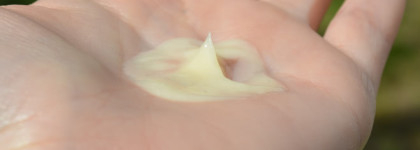 Шампунь и кондиционер OGX (Organix) серии Renewing Argan Oil of Morocco - желанная ли парочка?