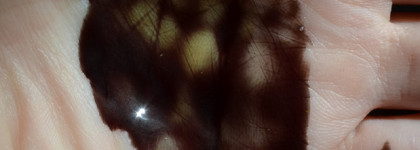 Зеленая зависть? Шампунь для нейтрализации красных оттенков тёмных тонов волос Matrix Total Results Dark Envy Shampoo