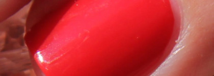 "Набоков" в красных тонах