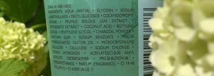 Очищение жирной и комбинированной кожи с Payot Pate Grise Gelee Nettoyante Perfecting Foaming Gel