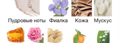 Чем пахнут путаны? Putain des Palaces Etat Libre d'Orange EDP