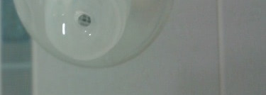 Любовь к апельсинам вместе с серией средств Cool Orange для ухода за волосами от японской профессиональной марки Lebel