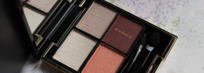 Как хорошо иметь друзей! Suqqu Designing Color Eyes 02 Hikaritouka